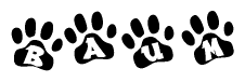 The image shows a row of animal paw prints, each containing a letter. The letters spell out the word Baum within the paw prints.