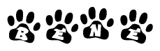 The image shows a row of animal paw prints, each containing a letter. The letters spell out the word Bene within the paw prints.