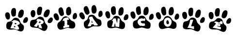 The image shows a series of animal paw prints arranged in a horizontal line. Each paw print contains a letter, and together they spell out the word Briancole.