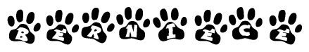   The image shows a series of animal paw prints arranged horizontally. Within each paw print, there