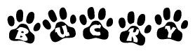 The image shows a row of animal paw prints, each containing a letter. The letters spell out the word Bucky within the paw prints.