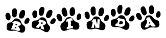 The image shows a series of animal paw prints arranged in a horizontal line. Each paw print contains a letter, and together they spell out the word Brinda.