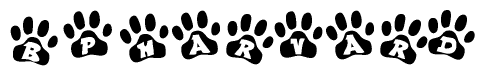 The image shows a row of animal paw prints, each containing a letter. The letters spell out the word Bpharvard within the paw prints.