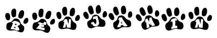 The image shows a series of animal paw prints arranged horizontally. Within each paw print, there's a letter; together they spell Benjamin