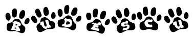 The image shows a series of animal paw prints arranged in a horizontal line. Each paw print contains a letter, and together they spell out the word Budescu.