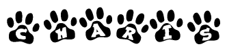 The image shows a row of animal paw prints, each containing a letter. The letters spell out the word Charis within the paw prints.
