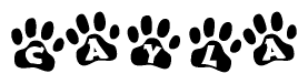 The image shows a row of animal paw prints, each containing a letter. The letters spell out the word Cayla within the paw prints.