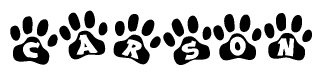 The image shows a series of animal paw prints arranged in a horizontal line. Each paw print contains a letter, and together they spell out the word Carson.