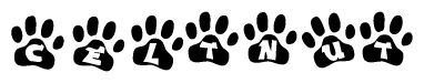 The image shows a series of animal paw prints arranged in a horizontal line. Each paw print contains a letter, and together they spell out the word Celtnut.
