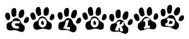 The image shows a row of animal paw prints, each containing a letter. The letters spell out the word Colokid within the paw prints.