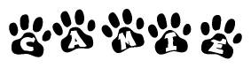 The image shows a series of animal paw prints arranged horizontally. Within each paw print, there's a letter; together they spell Camie