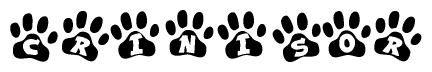 The image shows a row of animal paw prints, each containing a letter. The letters spell out the word Crinisor within the paw prints.