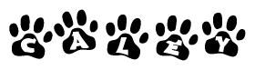 The image shows a series of animal paw prints arranged horizontally. Within each paw print, there's a letter; together they spell Caley