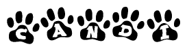 The image shows a row of animal paw prints, each containing a letter. The letters spell out the word Candi within the paw prints.