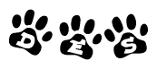 The image shows a row of animal paw prints, each containing a letter. The letters spell out the word Des within the paw prints.