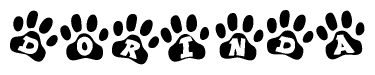 The image shows a row of animal paw prints, each containing a letter. The letters spell out the word Dorinda within the paw prints.