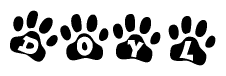 The image shows a series of animal paw prints arranged in a horizontal line. Each paw print contains a letter, and together they spell out the word Doyl.