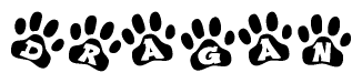   The image shows a series of animal paw prints arranged in a horizontal line. Each paw print contains a letter, and together they spell out the word Dragan. 