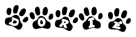 The image shows a series of animal paw prints arranged in a horizontal line. Each paw print contains a letter, and together they spell out the word Dorie.