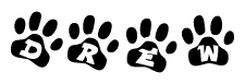 The image shows a series of animal paw prints arranged horizontally. Within each paw print, there's a letter; together they spell Drew