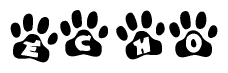 The image shows a series of animal paw prints arranged in a horizontal line. Each paw print contains a letter, and together they spell out the word Echo.