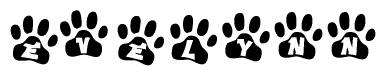 The image shows a series of animal paw prints arranged in a horizontal line. Each paw print contains a letter, and together they spell out the word Evelynn.