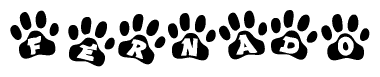The image shows a series of animal paw prints arranged horizontally. Within each paw print, there's a letter; together they spell Fernado