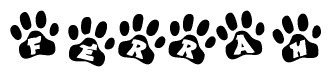 The image shows a series of animal paw prints arranged horizontally. Within each paw print, there's a letter; together they spell Ferrah