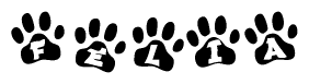 The image shows a series of animal paw prints arranged horizontally. Within each paw print, there's a letter; together they spell Felia