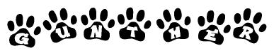 The image shows a series of animal paw prints arranged in a horizontal line. Each paw print contains a letter, and together they spell out the word Gunther.