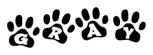 The image shows a series of animal paw prints arranged in a horizontal line. Each paw print contains a letter, and together they spell out the word Gray.