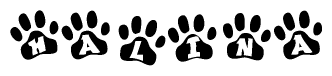 The image shows a series of animal paw prints arranged in a horizontal line. Each paw print contains a letter, and together they spell out the word Halina.