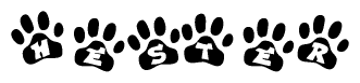 The image shows a series of animal paw prints arranged in a horizontal line. Each paw print contains a letter, and together they spell out the word Hester.