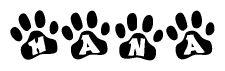 The image shows a series of animal paw prints arranged in a horizontal line. Each paw print contains a letter, and together they spell out the word Hana.