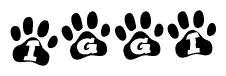 The image shows a row of animal paw prints, each containing a letter. The letters spell out the word Iggi within the paw prints.