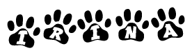 The image shows a series of animal paw prints arranged in a horizontal line. Each paw print contains a letter, and together they spell out the word Irina.