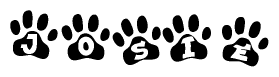 The image shows a series of animal paw prints arranged horizontally. Within each paw print, there's a letter; together they spell Josie