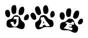 The image shows a series of animal paw prints arranged in a horizontal line. Each paw print contains a letter, and together they spell out the word Jae.