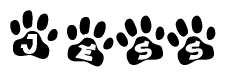 The image shows a series of animal paw prints arranged in a horizontal line. Each paw print contains a letter, and together they spell out the word Jess.