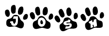 The image shows a series of animal paw prints arranged in a horizontal line. Each paw print contains a letter, and together they spell out the word Josh.
