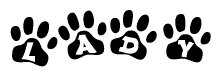 The image shows a series of animal paw prints arranged in a horizontal line. Each paw print contains a letter, and together they spell out the word Lady.