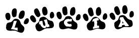 The image shows a row of animal paw prints, each containing a letter. The letters spell out the word Lucia within the paw prints.