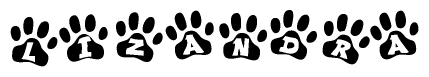 The image shows a series of animal paw prints arranged horizontally. Within each paw print, there's a letter; together they spell Lizandra