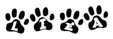 The image shows a series of animal paw prints arranged horizontally. Within each paw print, there's a letter; together they spell Liea