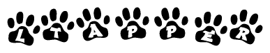 The image shows a row of animal paw prints, each containing a letter. The letters spell out the word Ltapper within the paw prints.
