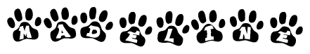The image shows a row of animal paw prints, each containing a letter. The letters spell out the word Madeline within the paw prints.