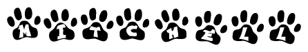 The image shows a row of animal paw prints, each containing a letter. The letters spell out the word Mitchell within the paw prints.