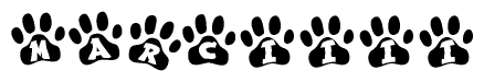 The image shows a series of animal paw prints arranged in a horizontal line. Each paw print contains a letter, and together they spell out the word Marciiii.