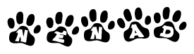 The image shows a row of animal paw prints, each containing a letter. The letters spell out the word Nenad within the paw prints.
