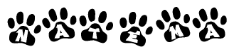 The image shows a series of animal paw prints arranged in a horizontal line. Each paw print contains a letter, and together they spell out the word Natema.